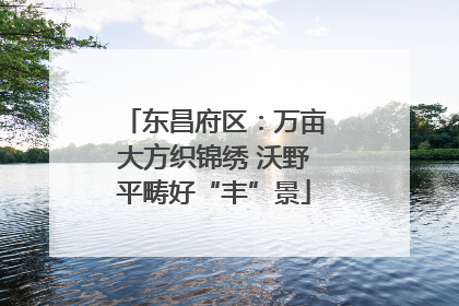 东昌府区：万亩大方织锦绣 沃野平畴好“丰”景