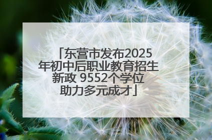 东营市发布2025年初中后职业教育招生新政 9552个学位助力多元成才