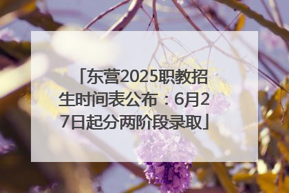 东营2025职教招生时间表公布：6月27日起分两阶段录取