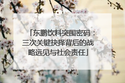 东鹏饮料突围密码：三次关键抉择背后的战略远见与社会责任