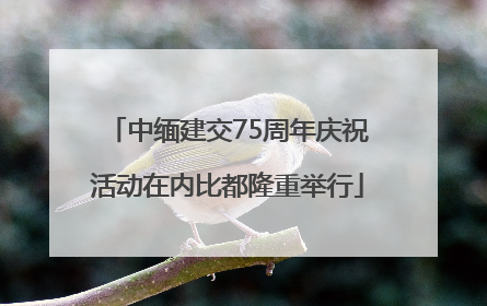中缅建交75周年庆祝活动在内比都隆重举行