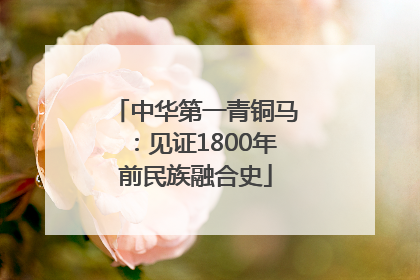中华第一青铜马：见证1800年前民族融合史