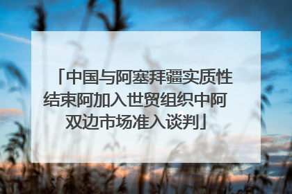 中国与阿塞拜疆实质性结束阿加入世贸组织中阿双边市场准入谈判
