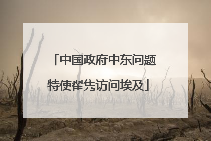 中国政府中东问题特使翟隽访问埃及
