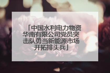 中国水利电力物资华南有限公司党员突击队勇当新能源市场开拓排头兵