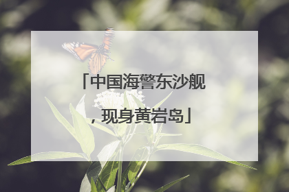 中国海警东沙舰，现身黄岩岛