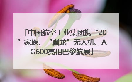 中国航空工业集团携“20”家族、“翼龙”无人机、AG600亮相巴黎航展