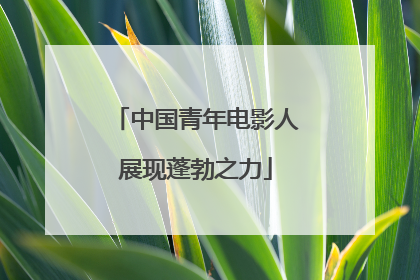 中国青年电影人展现蓬勃之力
