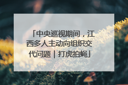 中央巡视期间，江西多人主动向组织交代问题｜打虎拍蝇