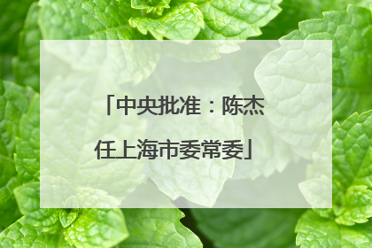 中央批准：陈杰任上海市委常委