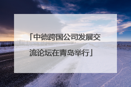 中德跨国公司发展交流论坛在青岛举行