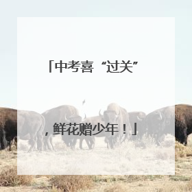 中考喜“过关”，鲜花赠少年！