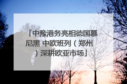 中豫港务亮相德国慕尼黑 中欧班列（郑州）深耕欧亚市场