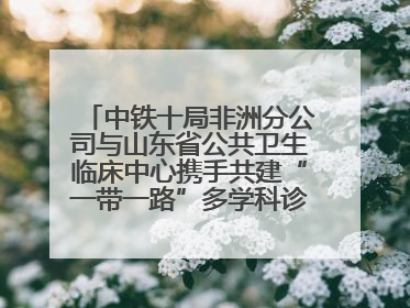 中铁十局非洲分公司与山东省公共卫生临床中心携手共建“一带一路”多学科诊疗协作网