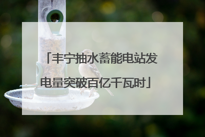 丰宁抽水蓄能电站发电量突破百亿千瓦时