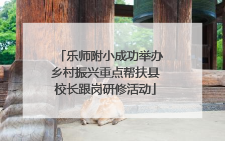 乐师附小成功举办乡村振兴重点帮扶县校长跟岗研修活动