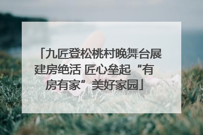九匠登松桃村晚舞台展建房绝活 匠心垒起“有房有家”美好家园