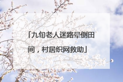 九旬老人迷路晕倒田间，村居织网救助