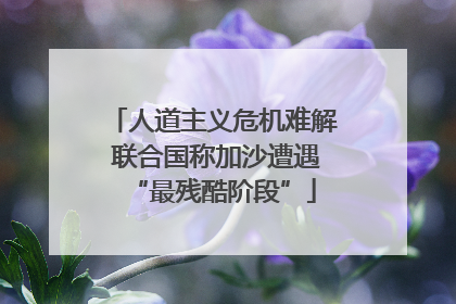 人道主义危机难解 联合国称加沙遭遇“最残酷阶段”