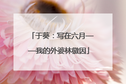 于葵：写在六月——我的外婆林徽因