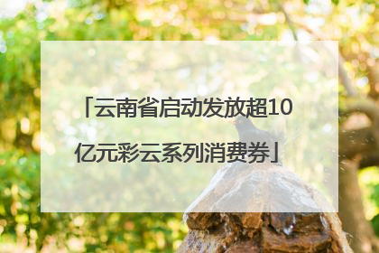 云南省启动发放超10亿元彩云系列消费券