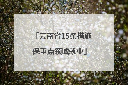 云南省15条措施保重点领域就业