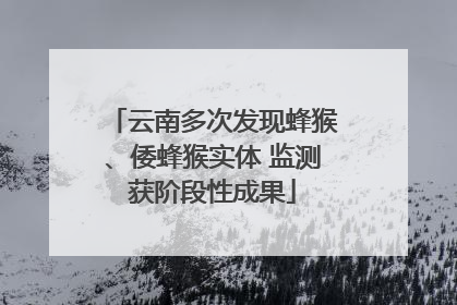 云南多次发现蜂猴、倭蜂猴实体 监测获阶段性成果