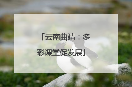 云南曲靖：多彩课堂促发展