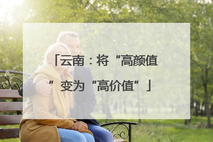 云南：将“高颜值”变为“高价值”