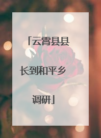 云霄县县长到和平乡调研