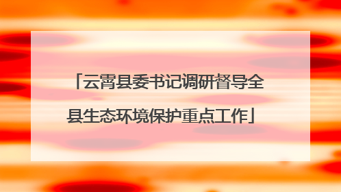 云霄县委书记调研督导全县生态环境保护重点工作