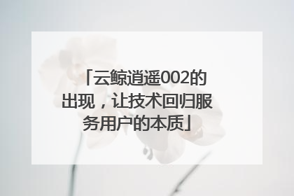 云鲸逍遥002的出现，让技术回归服务用户的本质