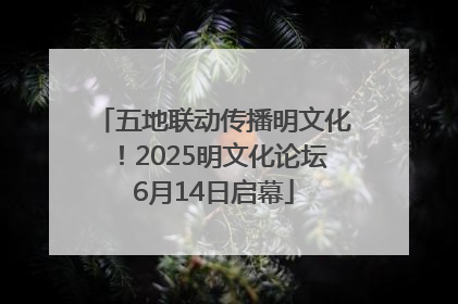 五地联动传播明文化！2025明文化论坛6月14日启幕