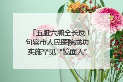 五脏六腑全长反！句容市人民医院成功实施罕见“镜面人”肝癌根治术
