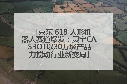 京东 618 人形机器人赛道爆发：灵宝CASBOT以30万级产品力搅动行业新变局