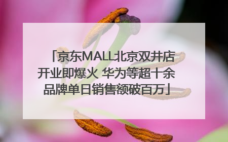 京东MALL北京双井店开业即爆火 华为等超十余品牌单日销售额破百万