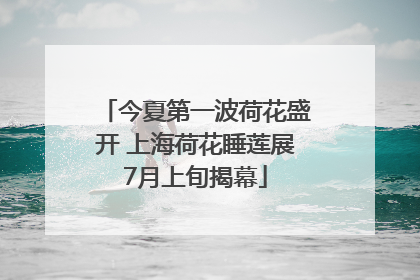 今夏第一波荷花盛开 上海荷花睡莲展7月上旬揭幕