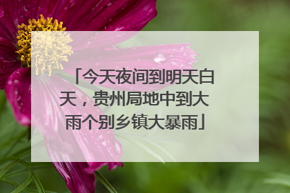 今天夜间到明天白天，贵州局地中到大雨个别乡镇大暴雨