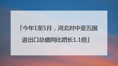 今年1至5月，河北对中亚五国进出口总值同比增长1.1倍