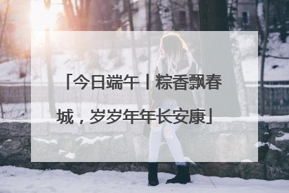 今日端午丨粽香飘春城，岁岁年年长安康