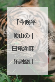今晚平顶山⑥｜白龟湖畔乐融融