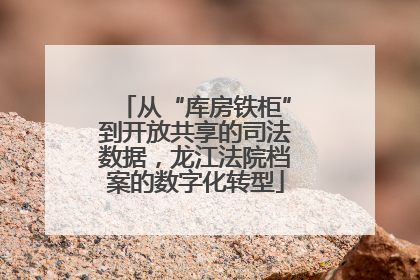 从“库房铁柜”到开放共享的司法数据，龙江法院档案的数字化转型