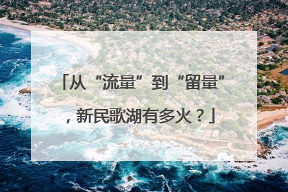 从“流量”到“留量”，新民歌湖有多火？