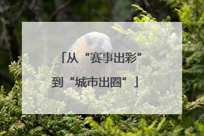 从“赛事出彩”到“城市出圈”