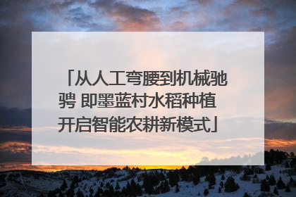 从人工弯腰到机械驰骋 即墨蓝村水稻种植开启智能农耕新模式