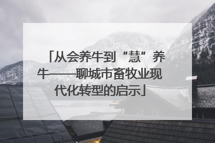 从会养牛到“慧”养牛——聊城市畜牧业现代化转型的启示
