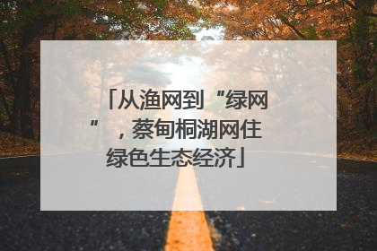 从渔网到“绿网”，蔡甸桐湖网住绿色生态经济