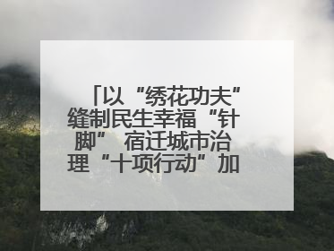 以“绣花功夫”缝制民生幸福“针脚” 宿迁城市治理“十项行动”加速落地