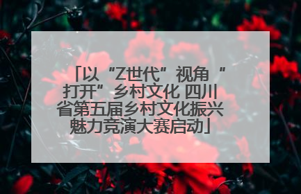 以“Z世代”视角“打开”乡村文化 四川省第五届乡村文化振兴魅力竞演大赛启动