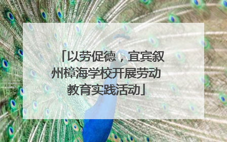以劳促德，宜宾叙州樟海学校开展劳动教育实践活动